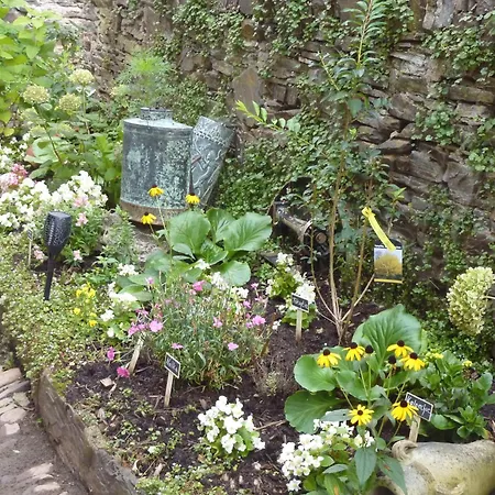 Am Moselstausee Sankt Aldegund