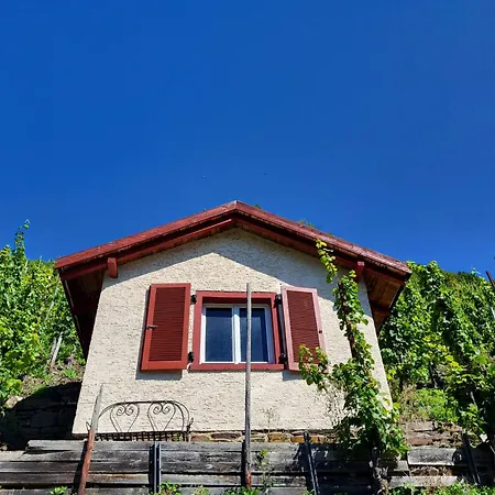 Tatil Evi Am Moselstausee