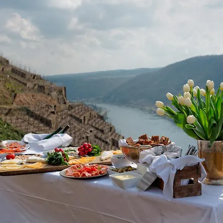 Am Moselstausee * Sankt Aldegund