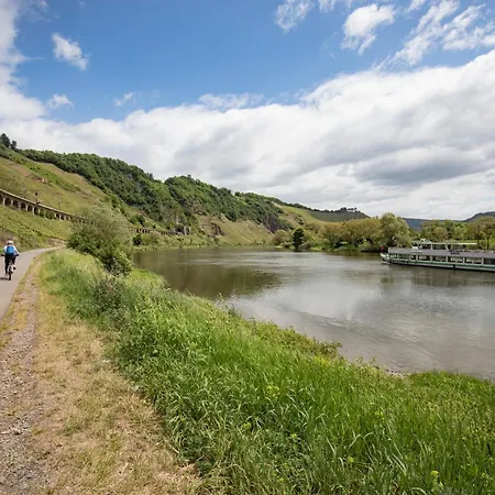 Am Moselstausee Sankt Aldegund