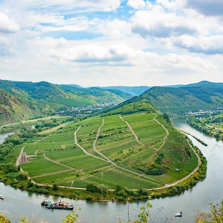 Am Moselstausee * Sankt Aldegund
