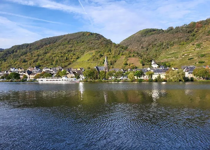 Am Moselstausee Holiday home Sankt Aldegund