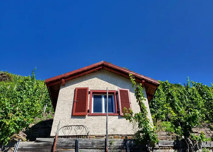 Holiday home Am Moselstausee