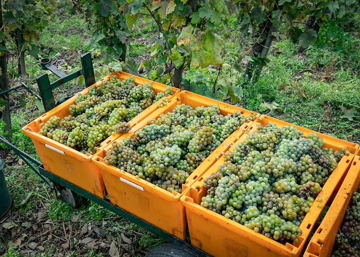 Am Moselstausee Holiday home